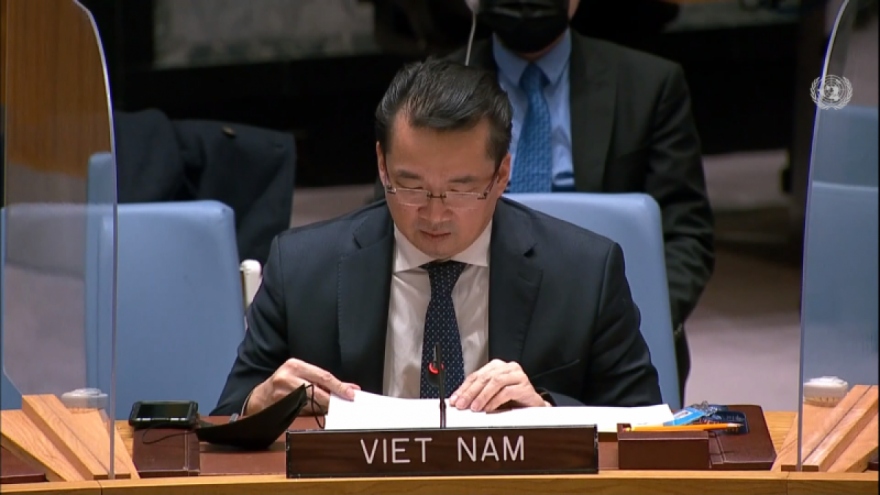 Vietnam calls for full implementation of South Sudanese Revitalised Peace Agreement